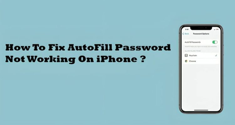 How To Fix AutoFill Password Not Working On iPhone [USE This Guide]