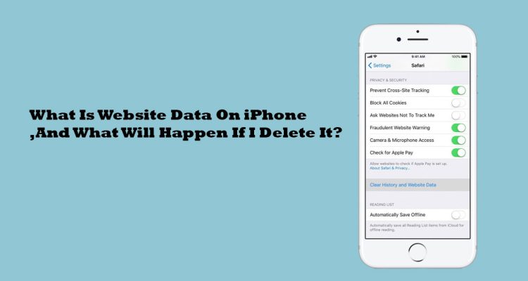What Is Website Data On iPhone, And What Will Happen If I Delete It?