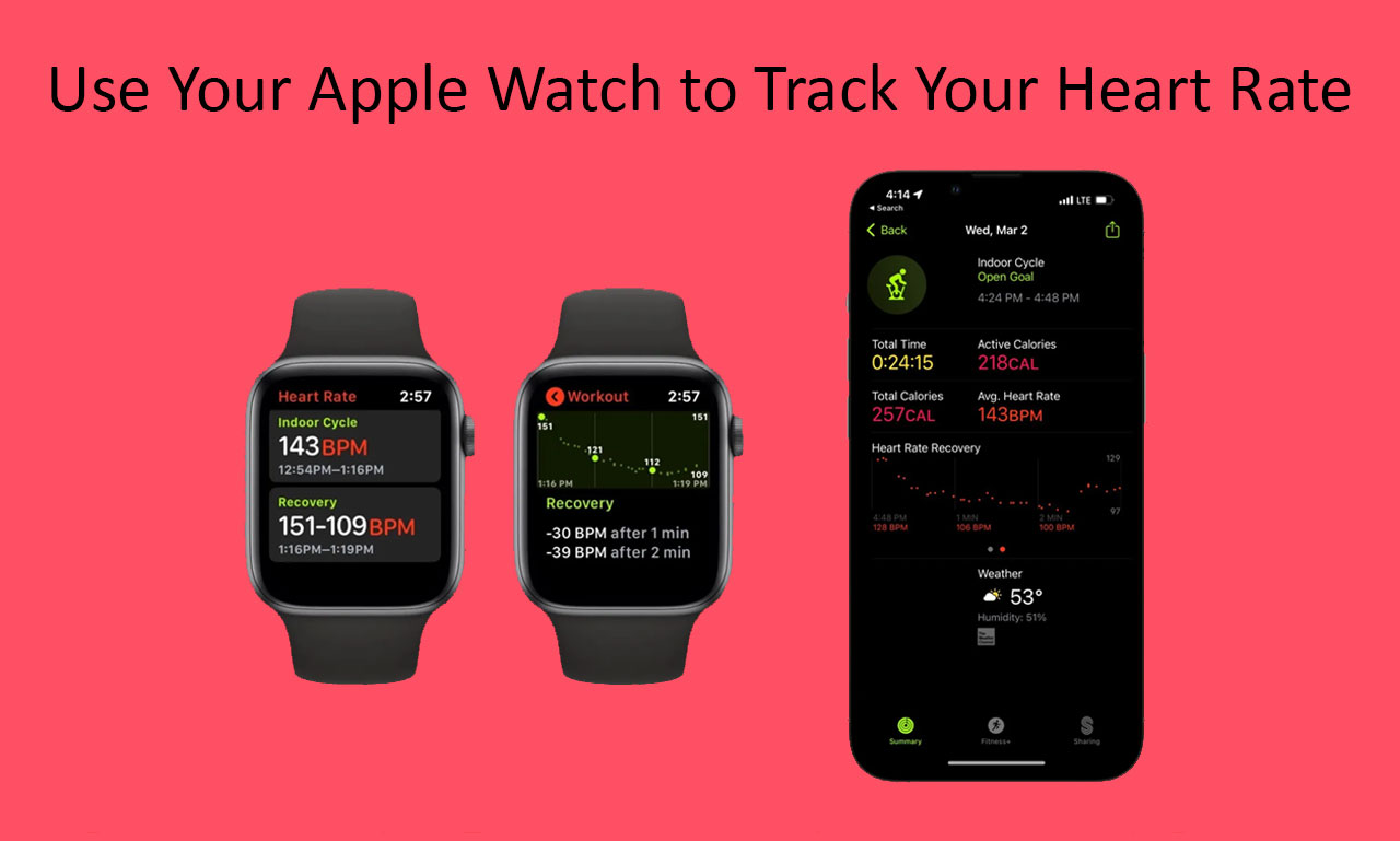 Use Your Apple Watch to Track Your Heart Rate